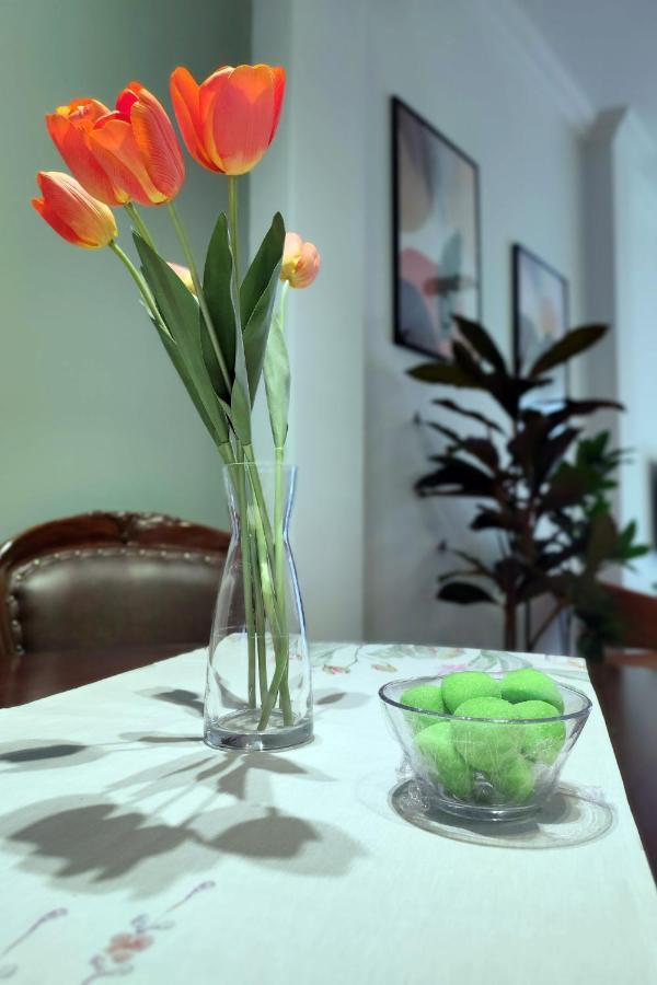 Estia Thessaloniki Apartment, Cozy, Spacious, Sunny, 2 Rooms-5 Beds Luaran gambar